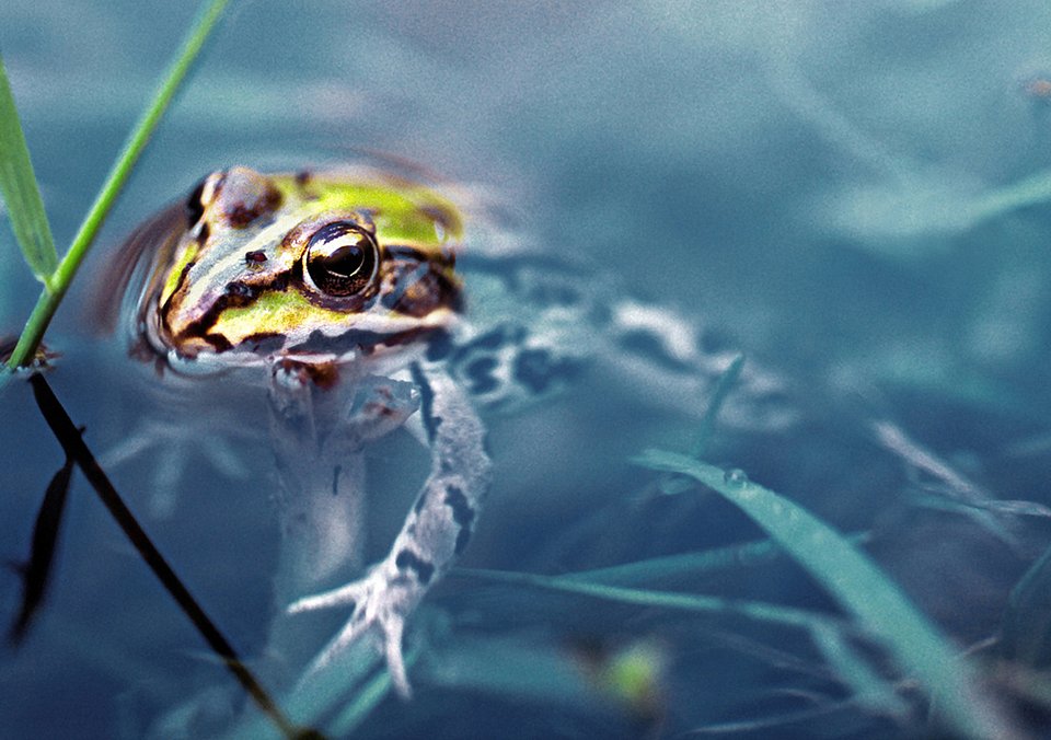 Wirtschaftsunternehmen: Naturkonforme Gewässersanierung mit GEWÄSSER2000 von der NaturSinn International KG