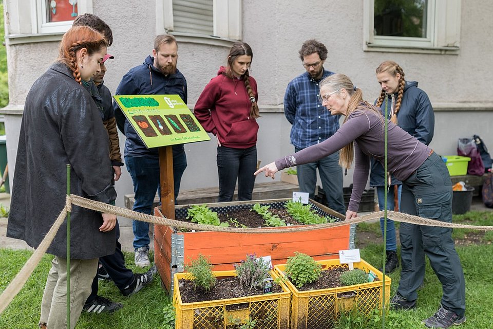 Urban Gardening mit geflüchteten Menschen