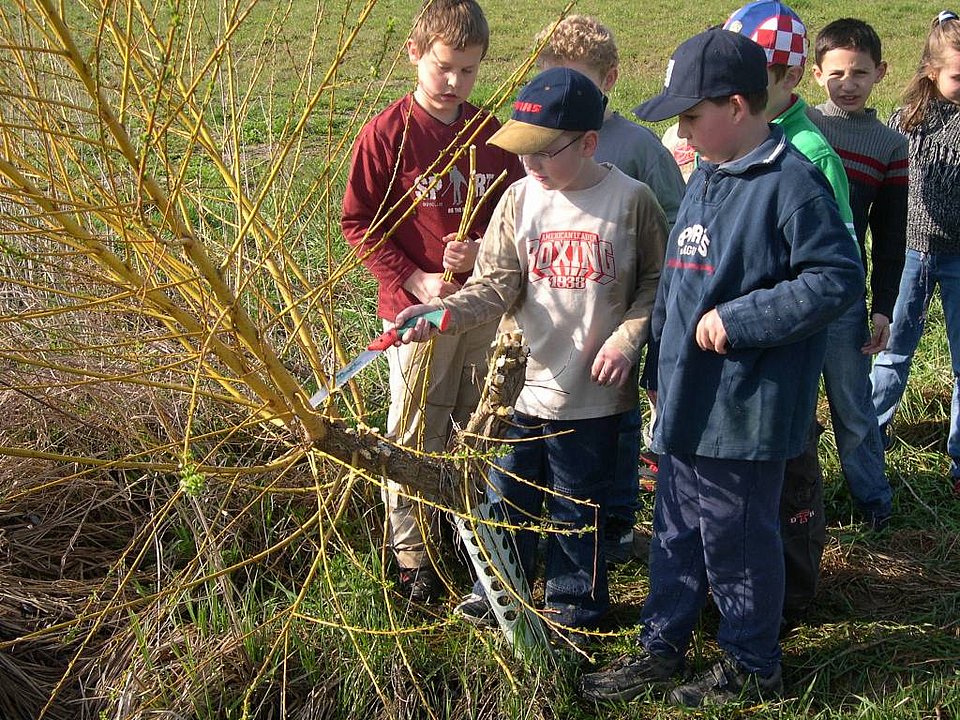 NANU! e. V. Netzwerk Augsburg für Naturschutz und Umweltbildung - gemeinsam bilden, Synergien nutzen
