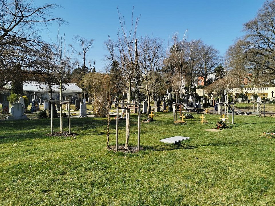 Umweltschutz und Nachhaltigkeit auf dem Protestantischen Friedhof