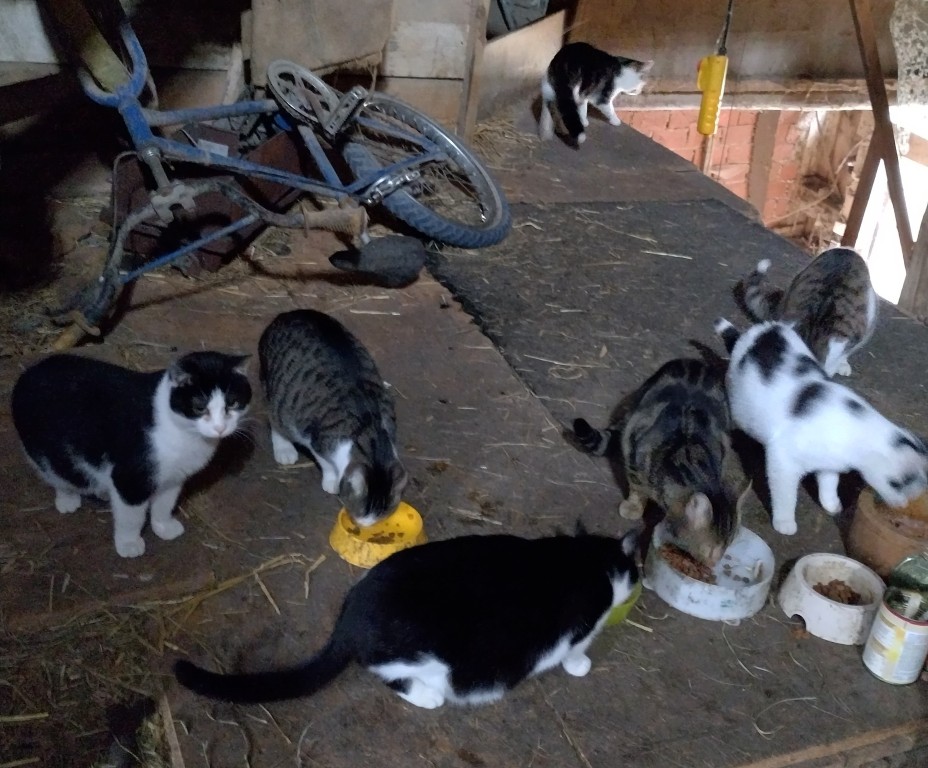 Tierschutz für eine nachhaltige Zukunft